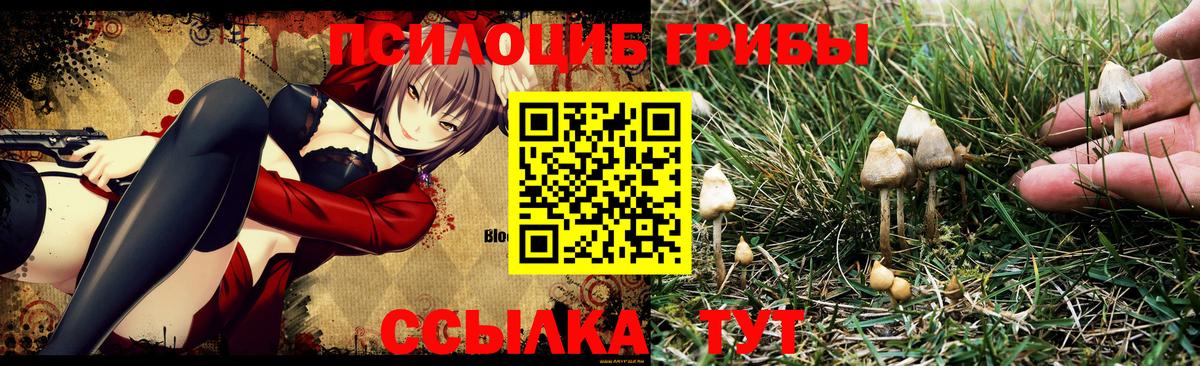 даркнет сайт  Псилоцибиновые грибы Magic Shrooms  Вход с VPN  Скопин 